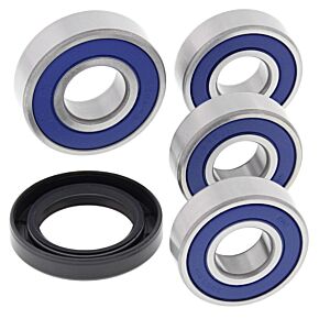 All Balls Racing All Balls Racing 04-06 Honda CBF250 (Euro) Wheel Bearing Kit Rear - 25-1598