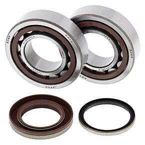 All Balls Racing All Balls Racing 05-12 KTM SX-F 250 Crank Shaft Bearing Kit - 24-1105