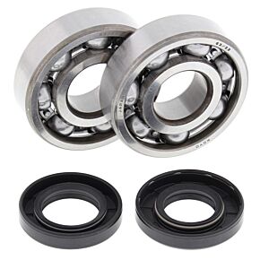 All Balls Racing All Balls Racing 05-23 Yamaha YZ125 Crank Shaft Bearing Kit - 24-1062