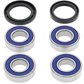 All Balls Racing All Balls Racing 06-07 BMW G650X CHALLENGE Wheel Bearing Kit Rear - 25-1672
