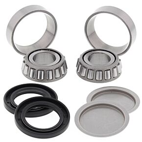 All Balls Racing All Balls Racing 06-09 Arctic Cat 250 2x4 Swing Arm Bearing Kit - 28-1056