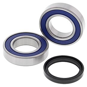 All Balls Racing All Balls Racing 06-09 Arctic Cat 250 2x4 Wheel Bearing Kit Rear - 25-1709