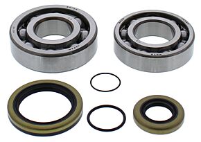 All Balls Racing All Balls Racing 08-11 Gas-Gas EC200 Crank Shaft Bearing Kit - 24-1118