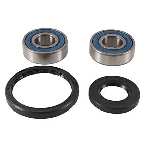 All Balls Racing All Balls Racing 08-12 Kawasaki EX250 Ninja Wheel Bearing Kit Front - 25-1743