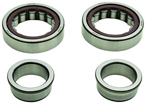 All Balls Racing All Balls Racing 10-15 Can-Am DS 450 Crank Shaft Bearing Kit - 24-1125