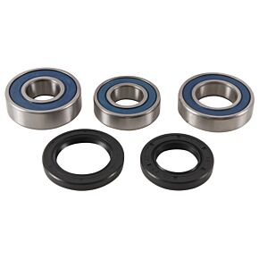 All Balls Racing All Balls Racing 13-14 Gas-Gas EC125 Wheel Bearing Kit Rear - 25-1754