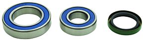 All Balls Racing All Balls Racing 16-17 Ski-Doo Freeride 800R ETEC Jack Shaft Bearing & Seal Kit Upper Shaft - 14-1085