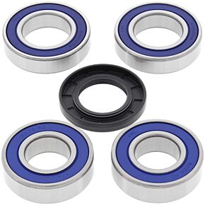 All Balls Racing All Balls Racing 16-21 Husqvarna 701 Enduro Wheel Bearing Kit Rear - 25-1533