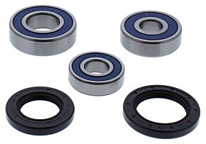 All Balls Racing All Balls Racing 18-22 Kawasaki EX400 Ninja Wheel Bearing Kit Rear - 25-1780