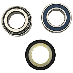 All Balls Racing All Balls Racing 19-20 Indian FTR 1200 Steering Bearing Kit - 22-1080