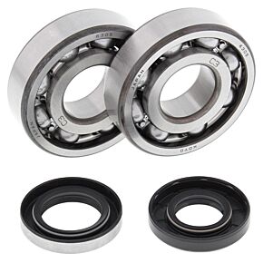 All Balls Racing All Balls Racing 1993 Husqvarna CR250 Crank Shaft Bearing Kit - 24-1109