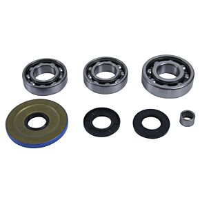 All Balls Racing All Balls Racing 2016 Can-Am Defender 800 Differential Bearing & Seal Kit Front - 25-2119