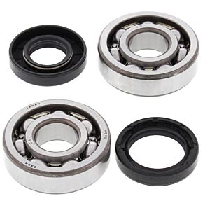 All Balls Racing All Balls Racing 74-83 Yamaha DT100 Crank Shaft Bearing Kit - 24-1063
