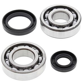 All Balls Racing All Balls Racing 82-85 Suzuki RM250 Crank Shaft Bearing Kit - 24-1069