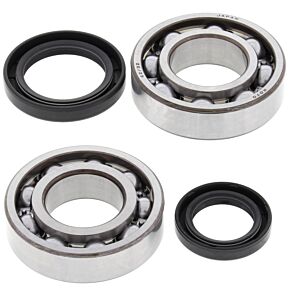 All Balls Racing All Balls Racing 85-92 Suzuki LT-250R Crank Shaft Bearing Kit - 24-1037