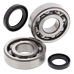 All Balls Racing All Balls Racing 87-90 Suzuki LT-500R Crank Shaft Bearing Kit - 24-1038