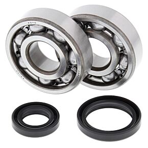 All Balls Racing All Balls Racing 89-08 Suzuki RM125 Crank Shaft Bearing Kit - 24-1016