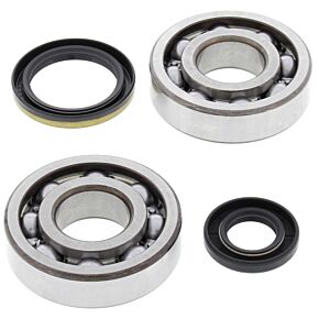 All Balls Racing All Balls Racing 94-95 Suzuki RM250 Crank Shaft Bearing Kit - 24-1020