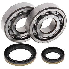 All Balls Racing All Balls Racing 96-02 Suzuki RM250 Crank Shaft Bearing Kit - 24-1021