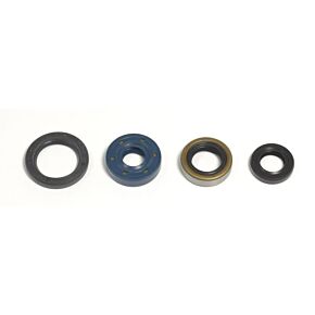 ATHENA Athena 02-08 Kawasaki KLX 110 Engine Oil Seal Kit - P400250400030
