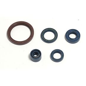 ATHENA Athena 03-04 Husqvarna TE/TC 250-450 Engine Oil Seal Kit - P400220400255