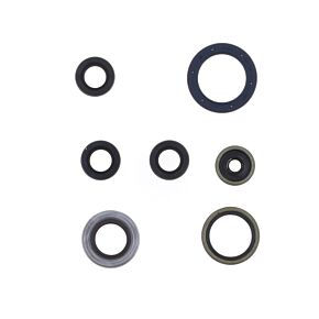 ATHENA Athena 03-06 KTM SX 85 Engine Oil Seal Kit - P400270400013