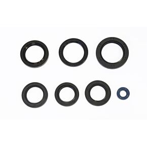 ATHENA Athena 03-13 Kawasaki KVF 360 Prairie 4X4 Engine Oil Seal Kit - P400250400018
