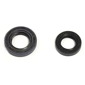 ATHENA Athena 04-05 Honda CRF 100 F Oil Seal Kit - P400210400184