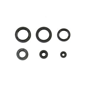 ATHENA Athena 04-07 Honda TRX 400 FA FourTrax Rancher AT Engine Oil Seal Kit - P400210400196