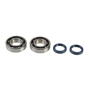 ATHENA Athena 04-16 Kawasaki KX 250 F Main Bearing & Seal Kit - P400250444016