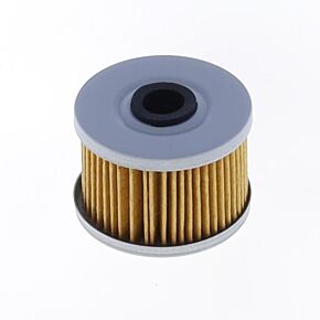 ATHENA Athena 05-08 Beta RR 450 4T Oil Filter - FFC022