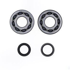 ATHENA Athena 05-08 Suzuki RM 250 Main Bearing & Seal Kit - P400510444049