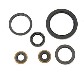 ATHENA Athena 05-08 Yamaha YFM 250 Big Bear Engine Oil Seal Kit - P400485400075
