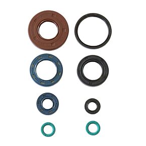 ATHENA Athena 05-10 Kymco MAXXER 300 HR Engine Oil Seal Kit - P400210400217
