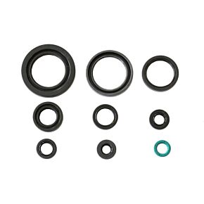 ATHENA Athena 06-13 Honda Foreman 450 Engine Oil Seal Kit - P400210400197