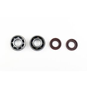 ATHENA Athena 06-14 Aprilia RX 50 Crankshaft Bearing & Oil Seal Rebuilding Kit - P400105444050