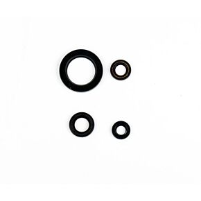 ATHENA Athena 06-15 Yamaha V Star 650 Engine Oil Seal Kit - P400485400054