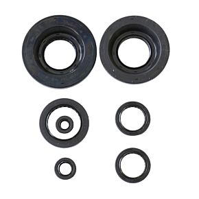 ATHENA Athena 06-22 Honda TRX 680 FourTrax Rincon Engine Oil Seal Kit - P400210400199