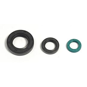 ATHENA Athena 07-08 Honda CRF 150F Engine Oil Seal Kit - P400210400213