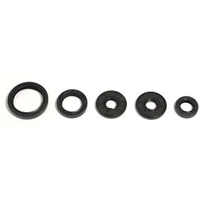 ATHENA Athena 07-10 BMW G450X Engine Oil Seal Kit - P400068400015