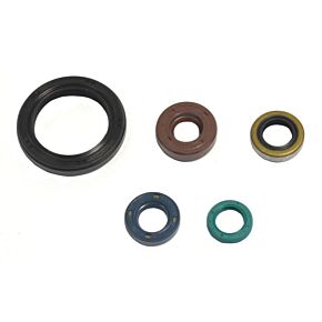 ATHENA Athena 07-12 Kawasaki KLX S 250 Engine Oil Seal Kit - P400250400049