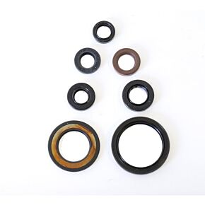 ATHENA Athena 07-20 Yamaha YFM 700 R Raptor Engine Oil Seal Kit - P400485400216