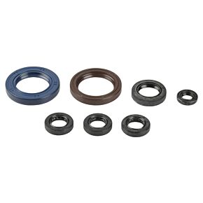 ATHENA Athena 08-09 KTM XC 450 Engine Oil Seal Kit - P400270400002