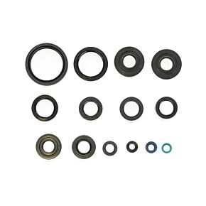 ATHENA Athena 08-14 Kawasaki KVF 650 Brute Force 4X4i Engine Oil Seal Kit - P400250400029