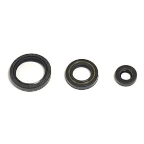 ATHENA Athena 10-12 Husqvarna TE/TXC 250 Engine Oil Seal Kit - P400220400263