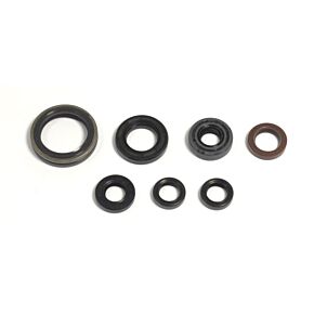ATHENA Athena 13-15 Gas Gas EC F 300 Engine Oil Seal Kit - P400485400039
