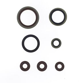 ATHENA Athena 14-19 Sherco SE-R 250/300 Engine Oil Seal Kit - P400462400001