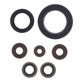 ATHENA Athena 14-19 Sherco SEF-R 250/300 Engine Oil Seal Kit - P400462400002