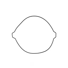 ATHENA Athena 17-22 Husqvarna TC (KTM Engine) 250 Outer Clutch Cover Gasket - S410270016001