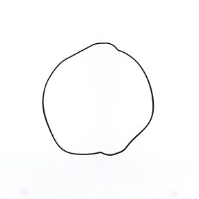 ATHENA Athena 17-23 KTM EXC-F 250 Outer Clutch Cover Gasket - S410270008050